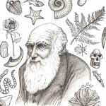 Charles Darwin scuola primaria scienze